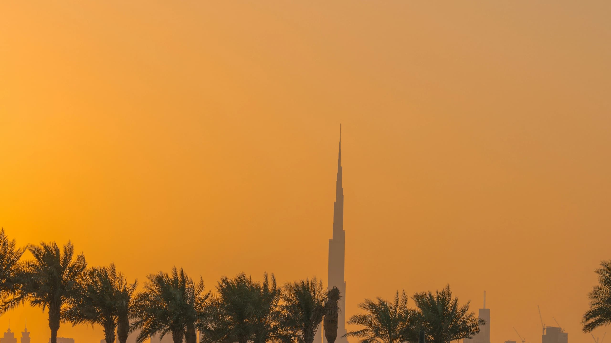 Off-Plan vs. Ready Property in Dubai: Structuring an Optimal Portfolio